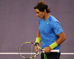 photo 29 in Nadal gallery [id514117] 2012-07-22