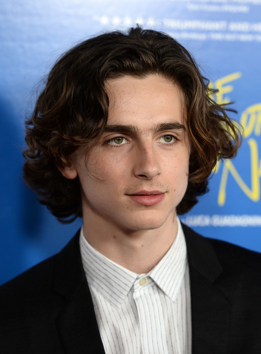 Timothee Chalamet photo 859 of 1665 pics, wallpaper - photo #1302828 ...