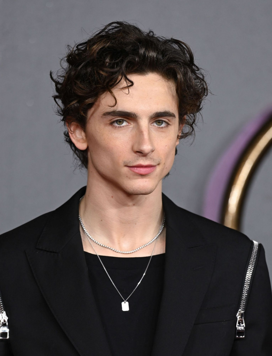 Timothee Chalamet photo 419 of 1618 pics, wallpaper - photo #1276294 ...