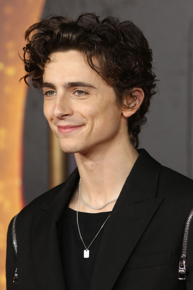 Timothee Chalamet photo 429 of 1066 pics, wallpaper - photo #1276304 ...