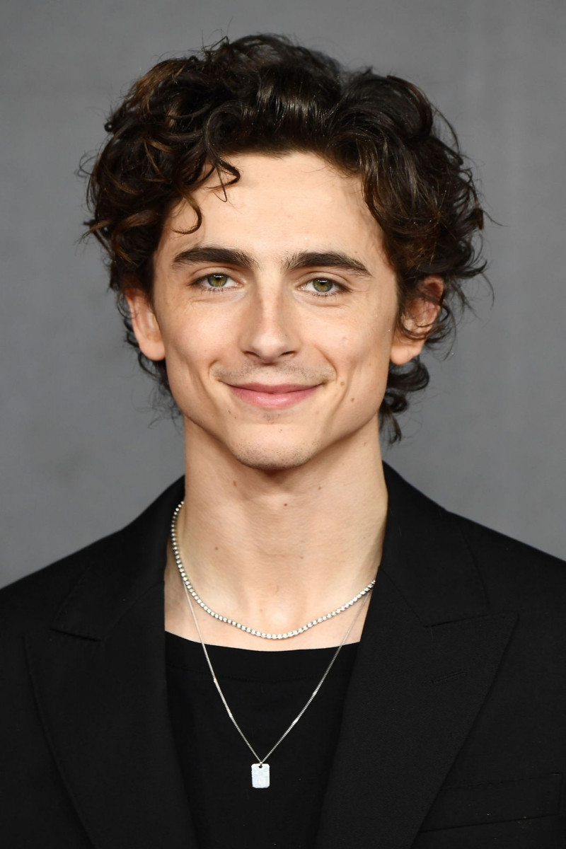 Timothee Chalamet photo 415 of 1646 pics, wallpaper - photo #1276290 ...