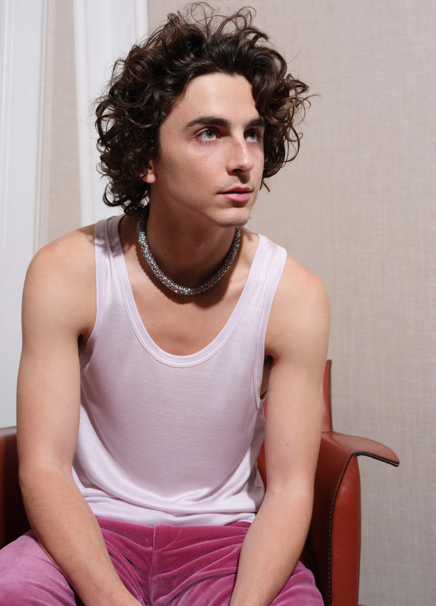 Timothee Chalamet photo 1600 of 1626 pics, wallpaper - photo #1339576 ...