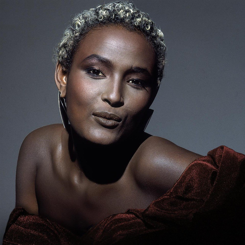 Waris Dirie photo 106 of 179 pics, wallpaper photo 1163527 ThePlace2