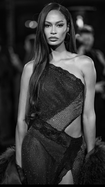 Joan Smalls instagram post 482194