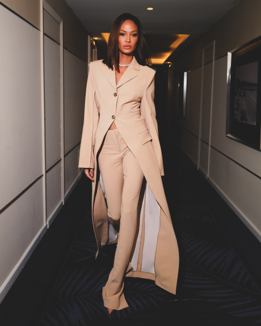 Joan Smalls instagram post 491906