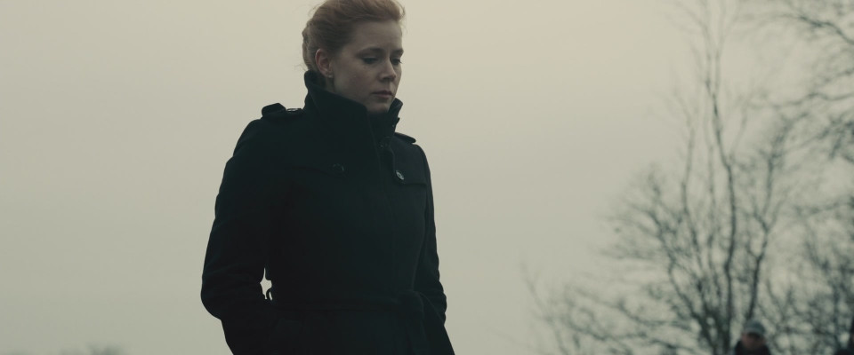 Amy Adams pic #911195