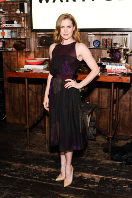 Amy Adams pic #549093