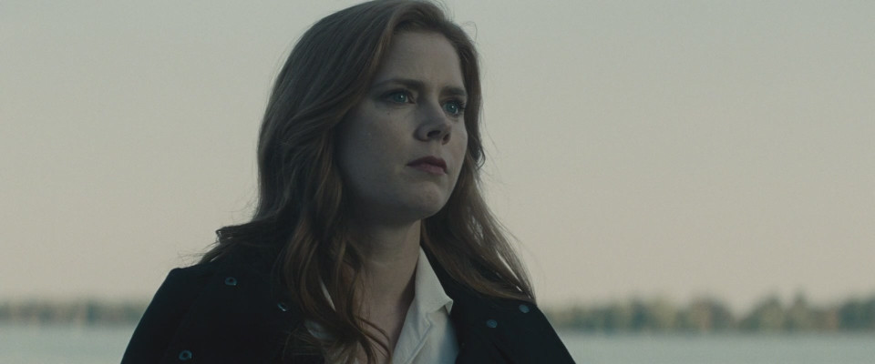 Amy Adams pic #925638
