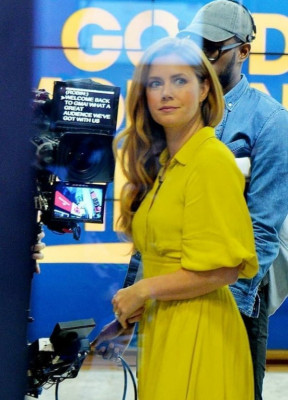 photo 10 in Amy Adams gallery [id1231788] 2020-09-05 00:00:00