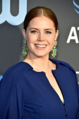 photo 27 in Amy Adams gallery [id1099619] 2019-01-15 00:00:00