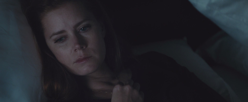 Amy Adams pic #917146