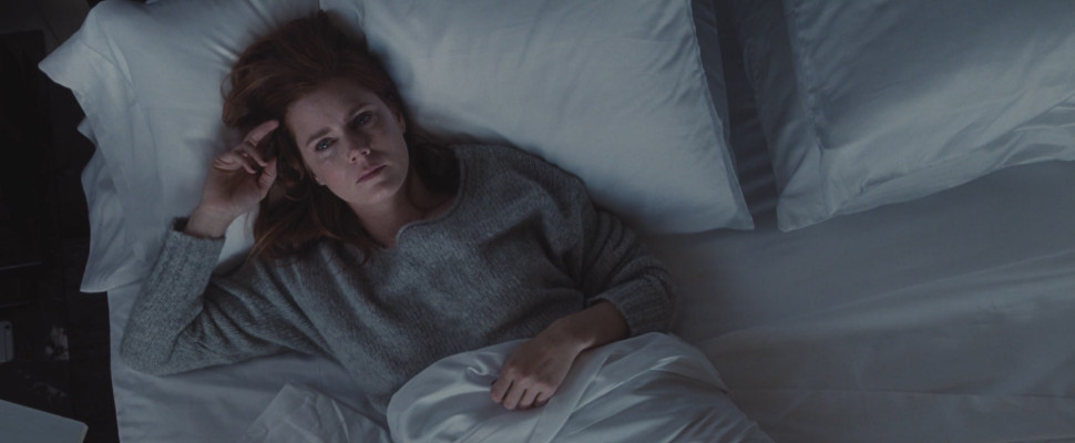 Amy Adams pic #917152
