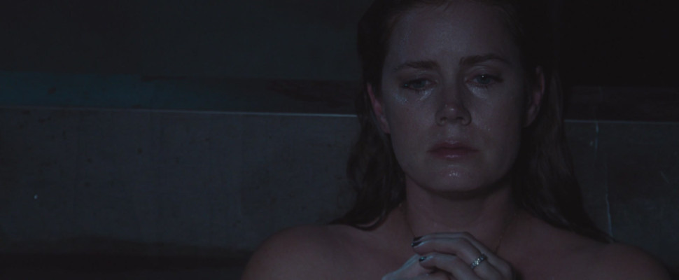 Amy Adams pic #957614
