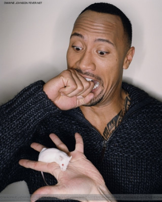 Dwayne Johnson pic #55562