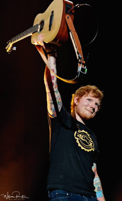 Ed Sheeran pic #1025469