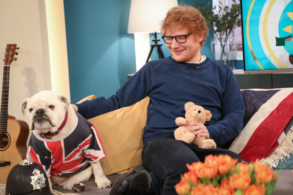 Ed Sheeran pic #1027982