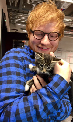 photo 11 in Sheeran gallery [id1156379] 2019-07-19 00:00:00
