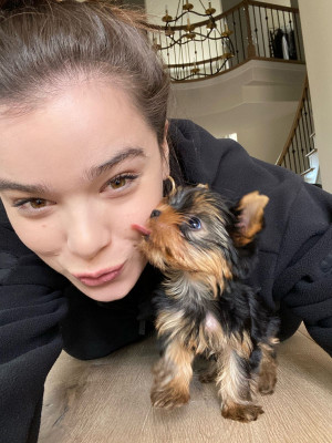 photo 23 in Hailee Steinfeld gallery [id1213375] 2020-04-30 00:00:00