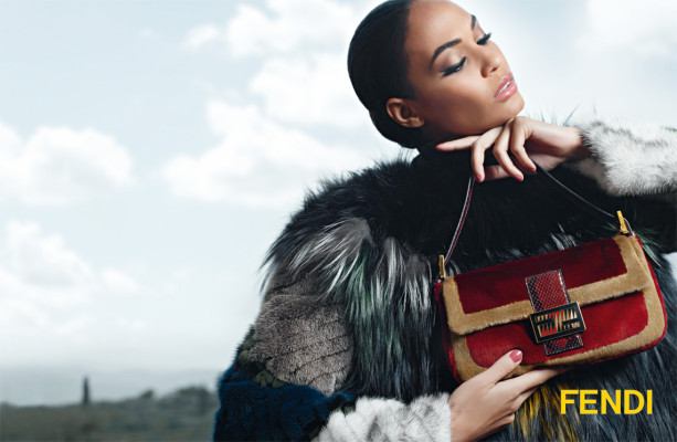 photo 22 in Joan Smalls gallery [id523563] 2012-08-18 00:00:00