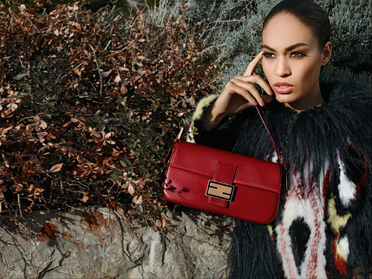 Joan Smalls pic #523561