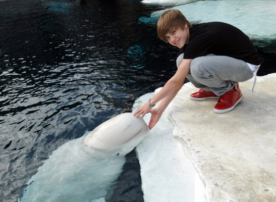 Justin Bieber pic #257459
