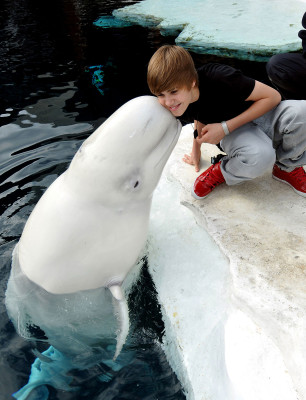 Justin Bieber pic #258598