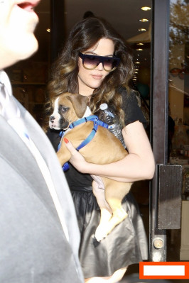 photo 3 in Khloe Kardashian gallery [id592108] 2013-04-06 00:00:00
