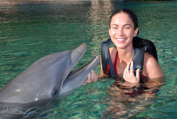 Megan Fox pic #446871