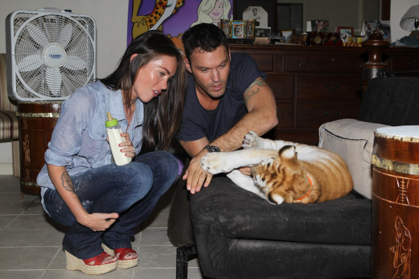 Megan Fox pic #451158