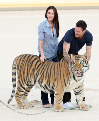 Megan Fox pic #445465