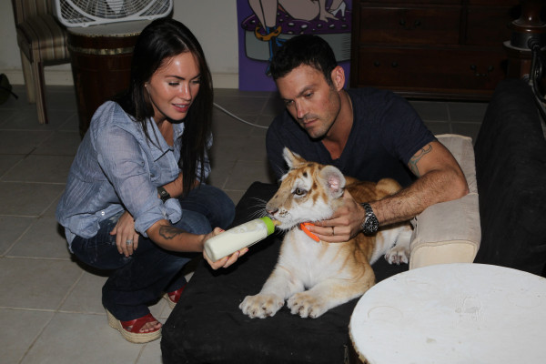 Megan Fox pic #773681
