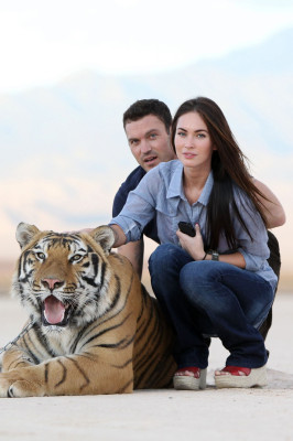 Megan Fox pic #297606