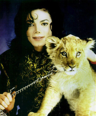 photo 13 in Michael Jackson gallery [id11074] -0001-11-30 00:00:00