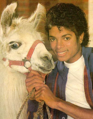 Michael Jackson pic #168462