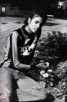 Michael Jackson pic #172310