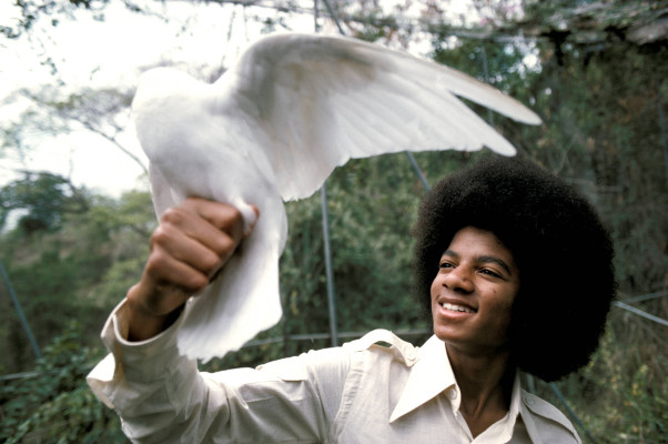 Michael Jackson pic #573310