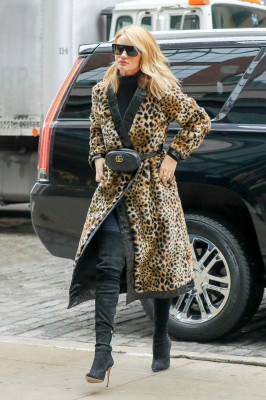 Rosie Huntington-Whitely pic #1112144