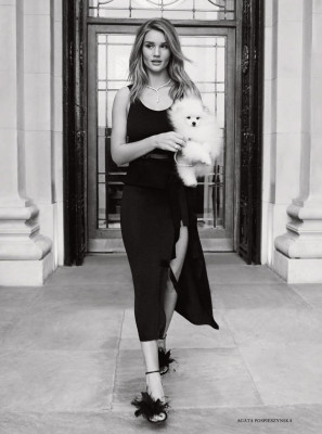 Rosie Huntington-Whitely pic #1005099