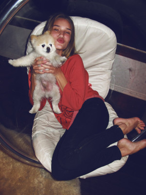 Rosie Huntington-Whitely pic #259701