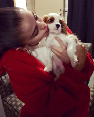 Selena Gomez pic #1016966