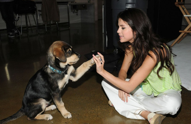 Selena Gomez pic #422970