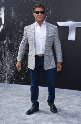 photo 13 in Stallone gallery [id782936] 2015-07-09 00:00:00