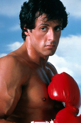 photo 4 in Stallone gallery [id560787] 2012-12-12 00:00:00