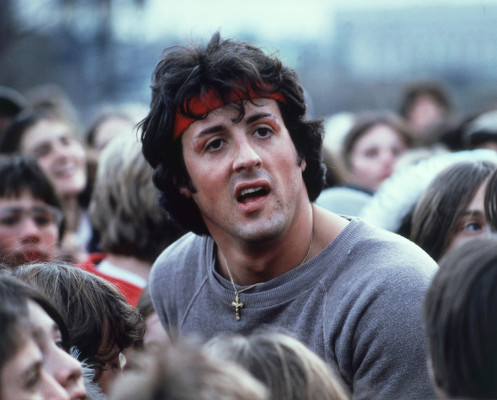 photo 23 in Stallone gallery [id1313920] 2022-11-14 00:00:00
