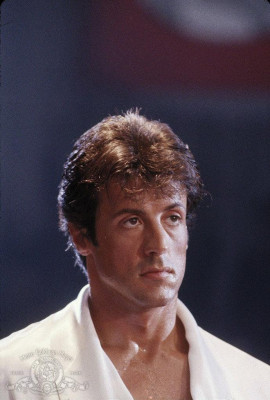 photo 25 in Stallone gallery [id480180] 2012-04-24 00:00:00