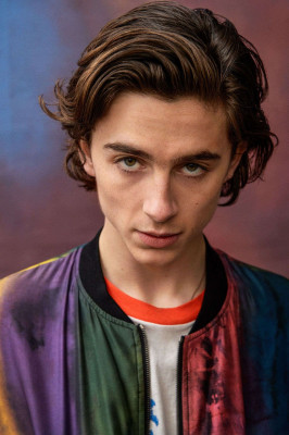 Timothee Chalamet pic #1009886