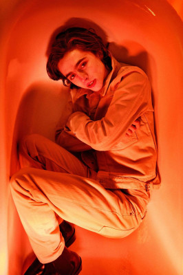 Timothee Chalamet pic #1009888
