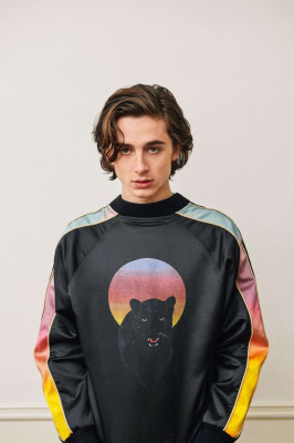 Timothee Chalamet pic #1009887