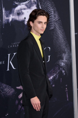 Timothee Chalamet pic #1308617