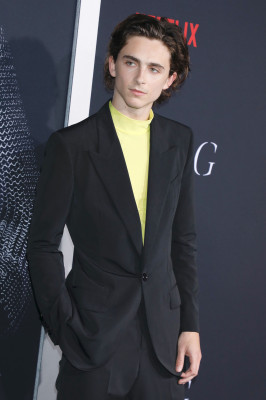 Timothee Chalamet pic #1308622